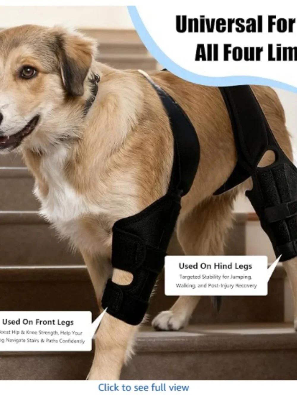 Noorace Dog Knee Brace for Torn ACL/CCL & Hind Leg Support - Adjustable Brace